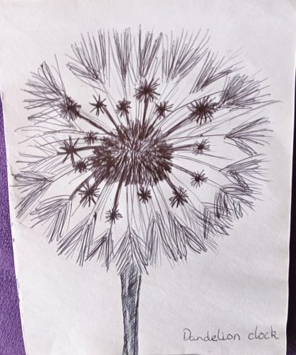 Christine P, Dandelion clock.